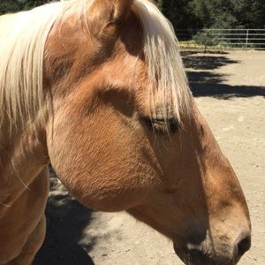 Meet your Posher, Raquelle